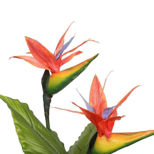 an artificial bird of paradise plant