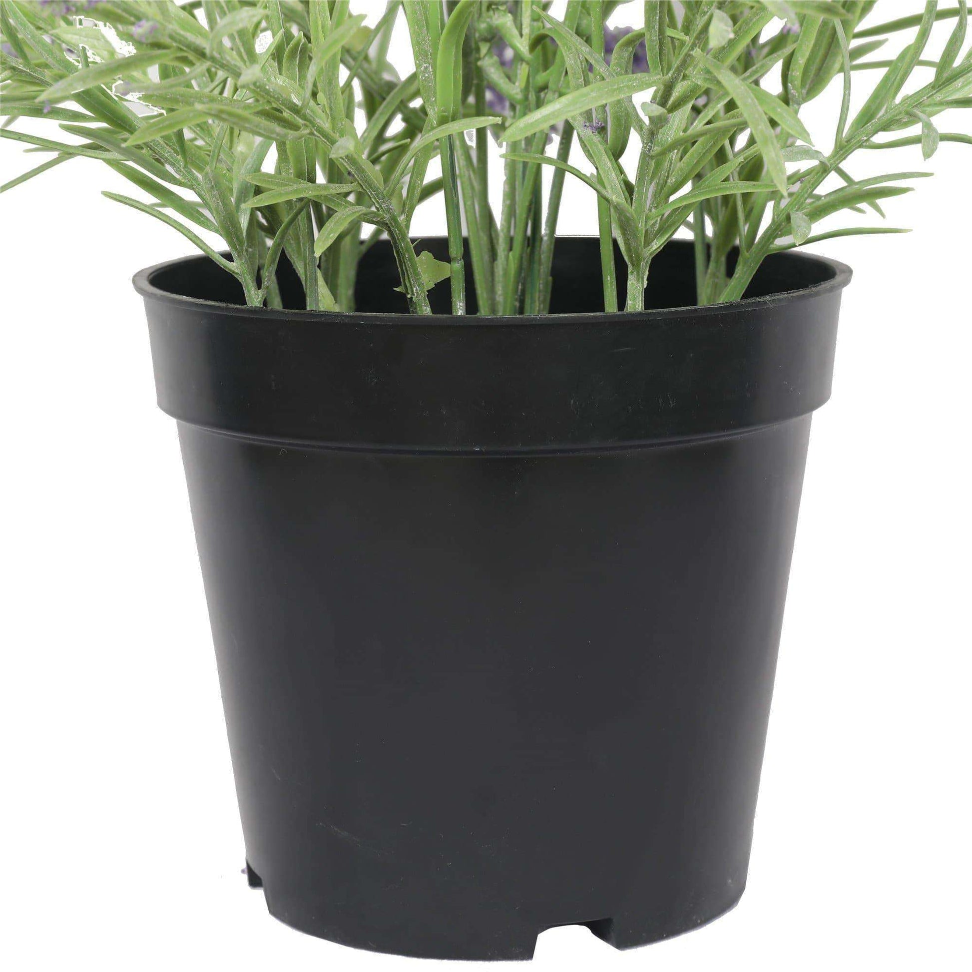 a zoomed in view on the plastic pot holding the lavender
