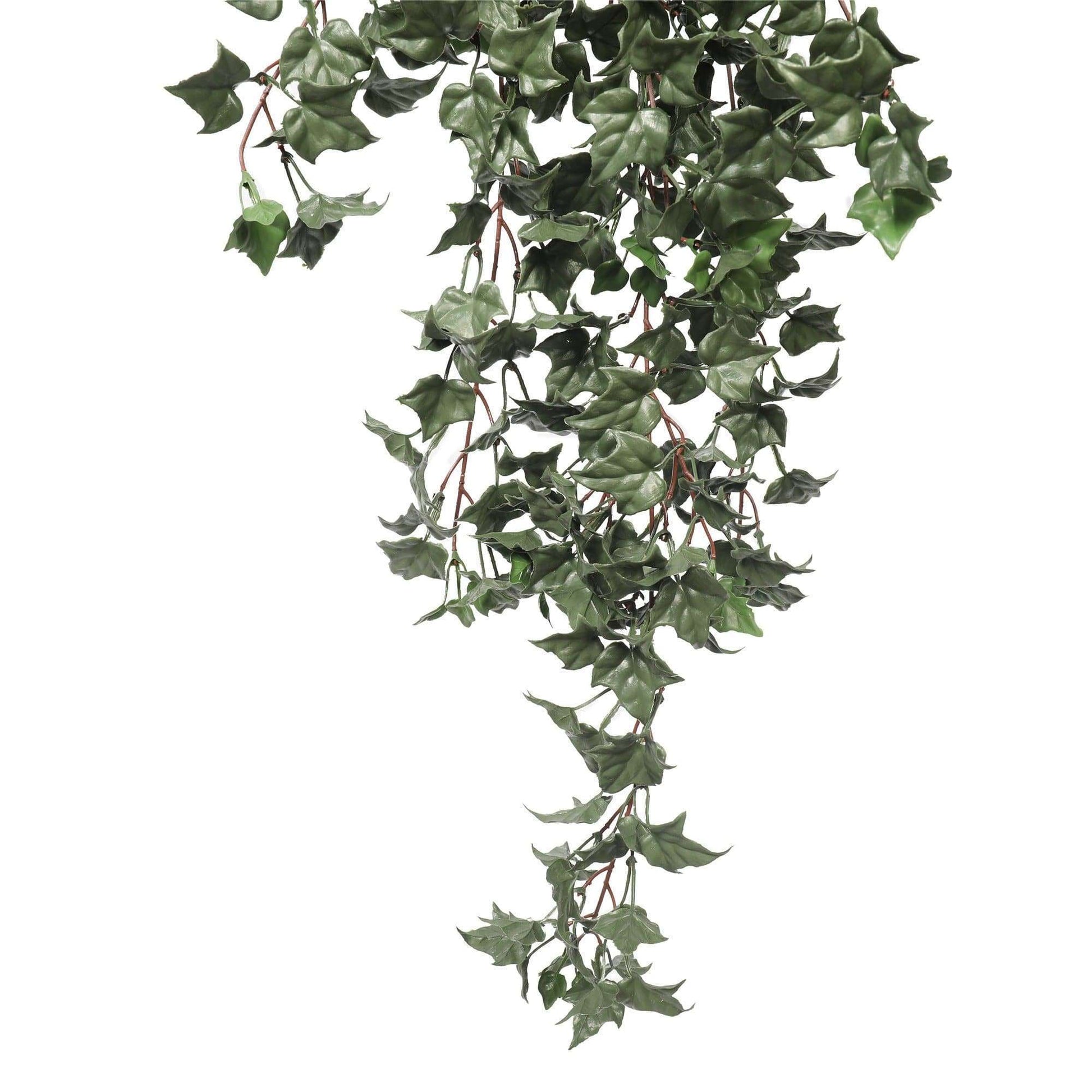 a close up on an artificial ivy plant