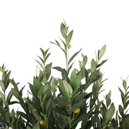 a close up on olives and leaves
