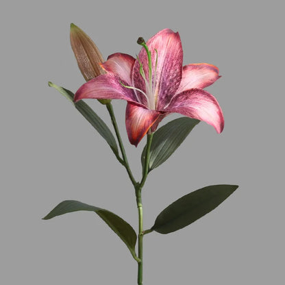Silk Lilies - 20.8" L, Available in Assorted Colors