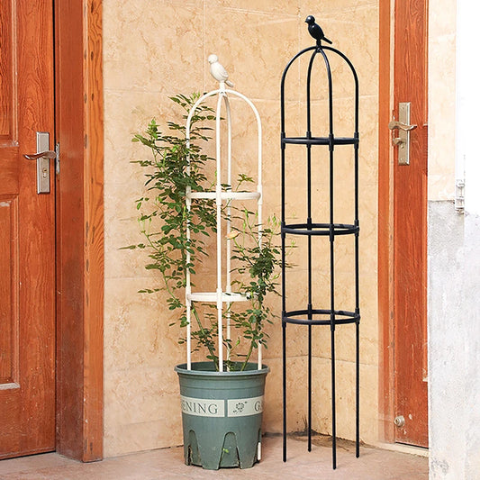 Trellis Cage for Plant Support - Comes with 2 or 3 Rings