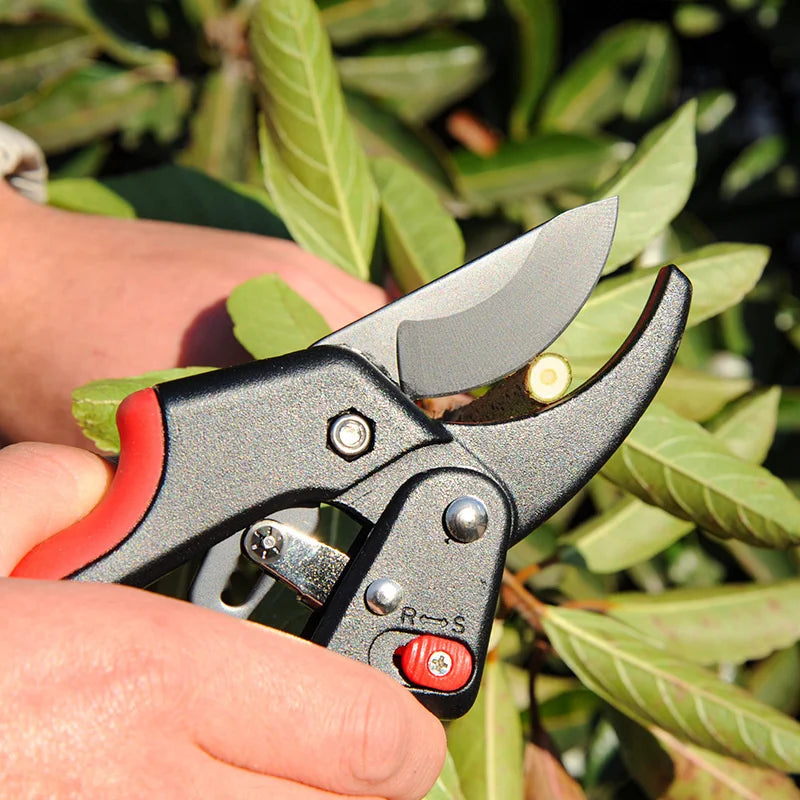 Gardening Shears with Safety Switch (Red) - Made with Steel