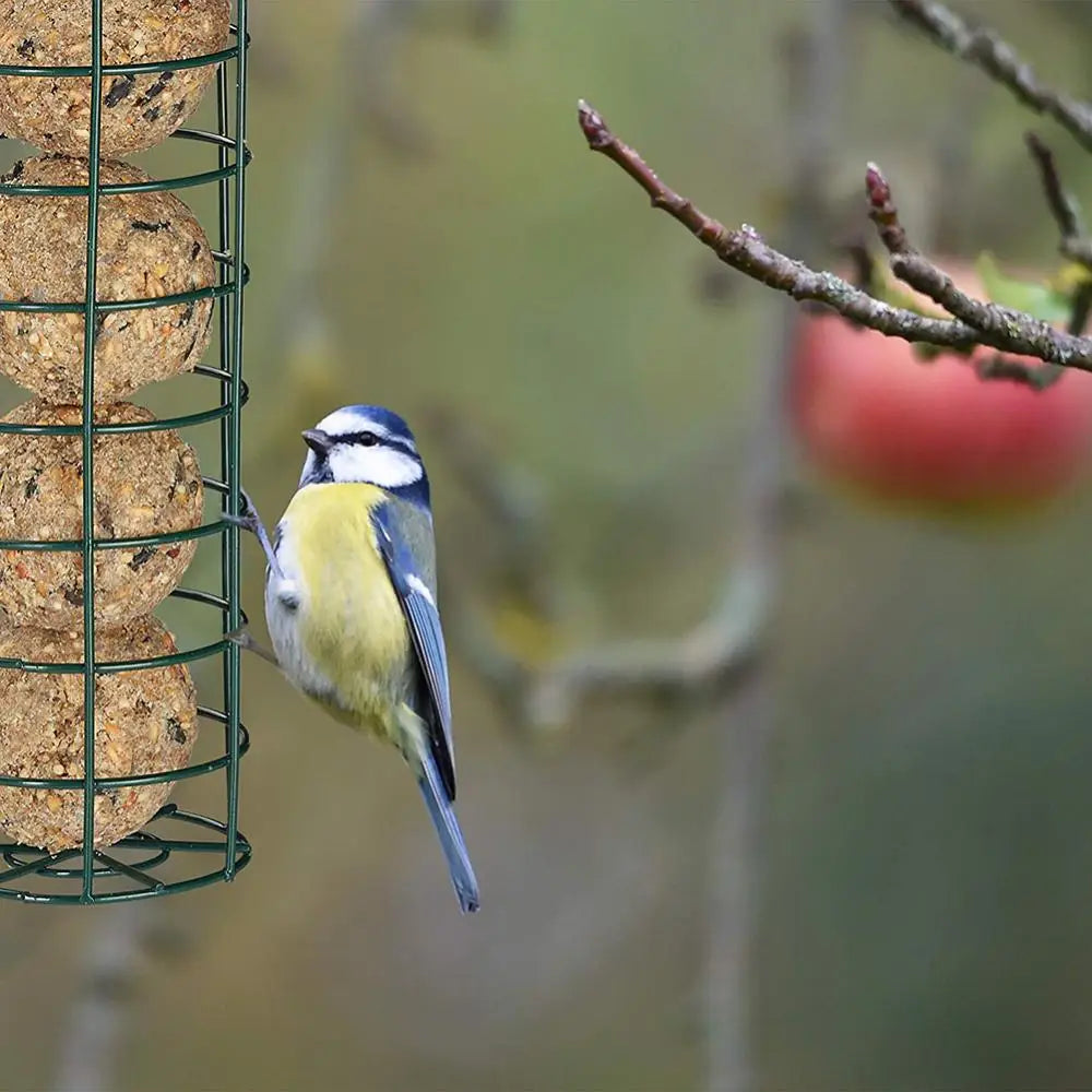 Hanging Bird Feeder - for Suet Balls Only