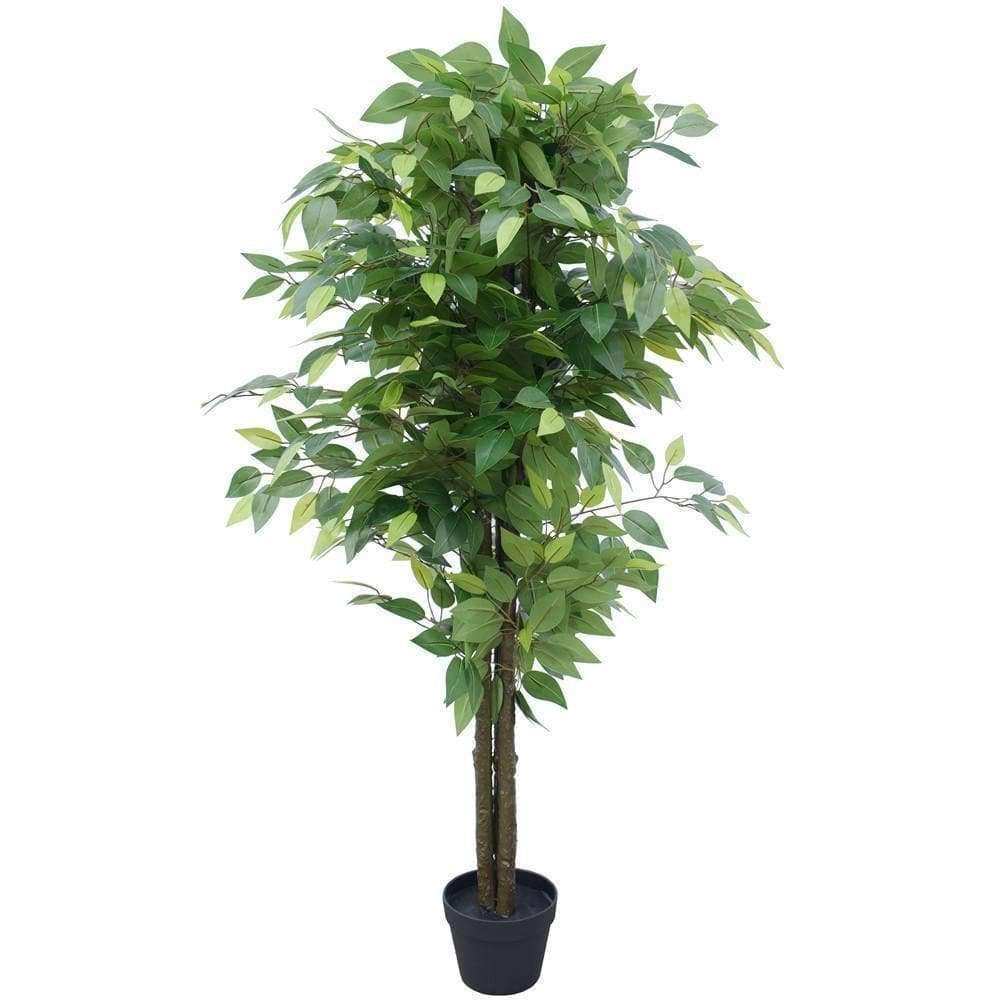 an artificial ficus tree