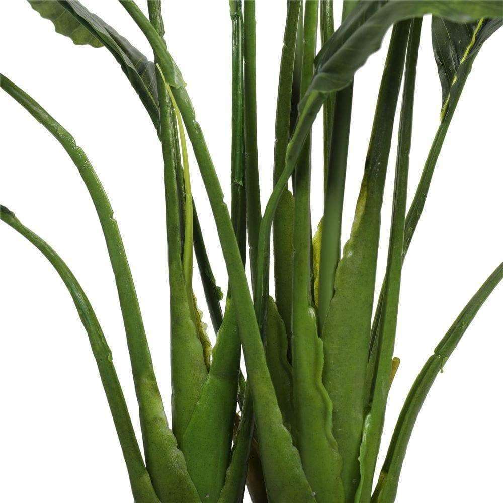 a close up on the branches