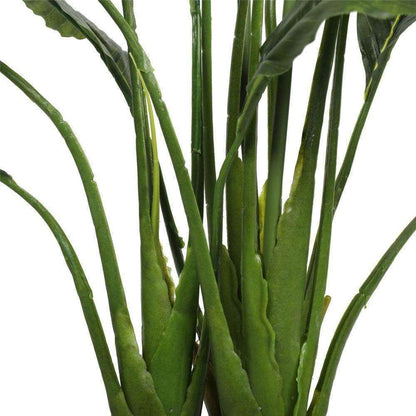 a close up on the branches