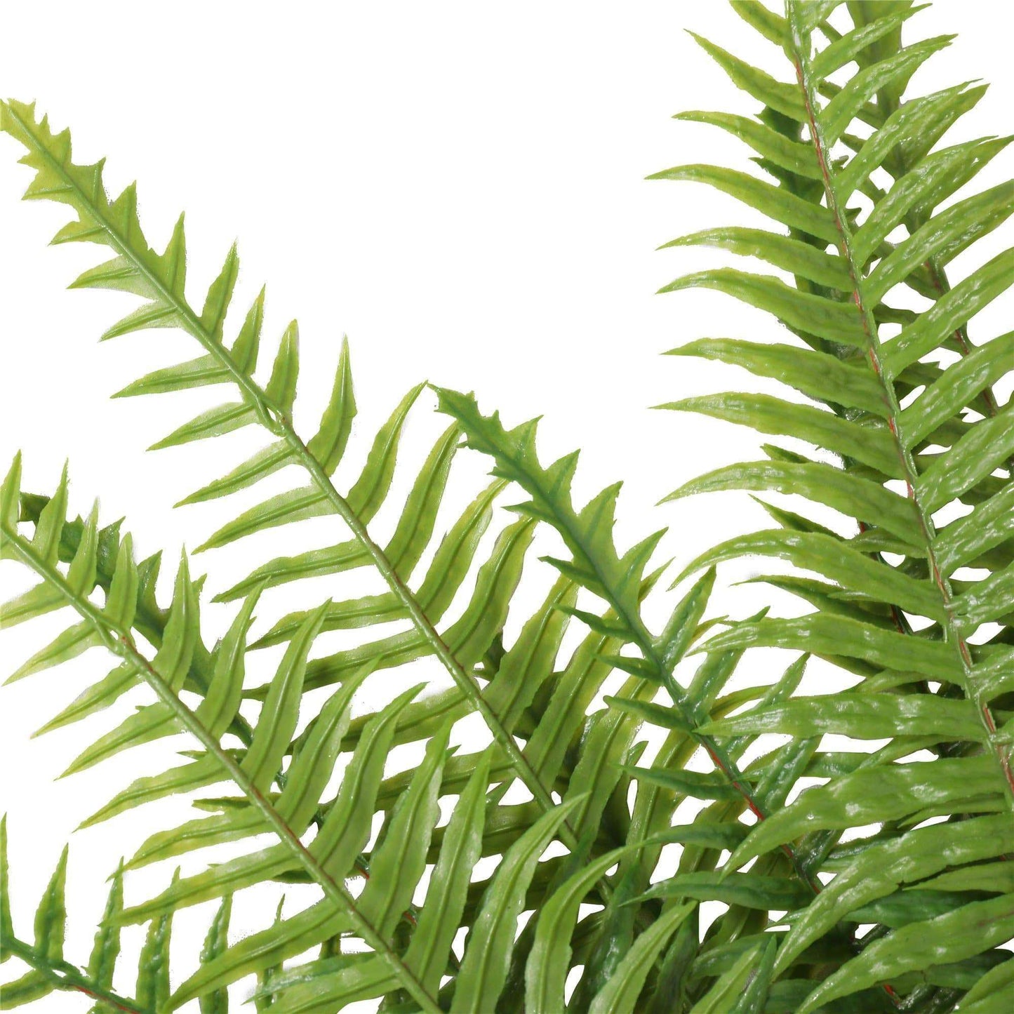 Artificial Fern Sprigs