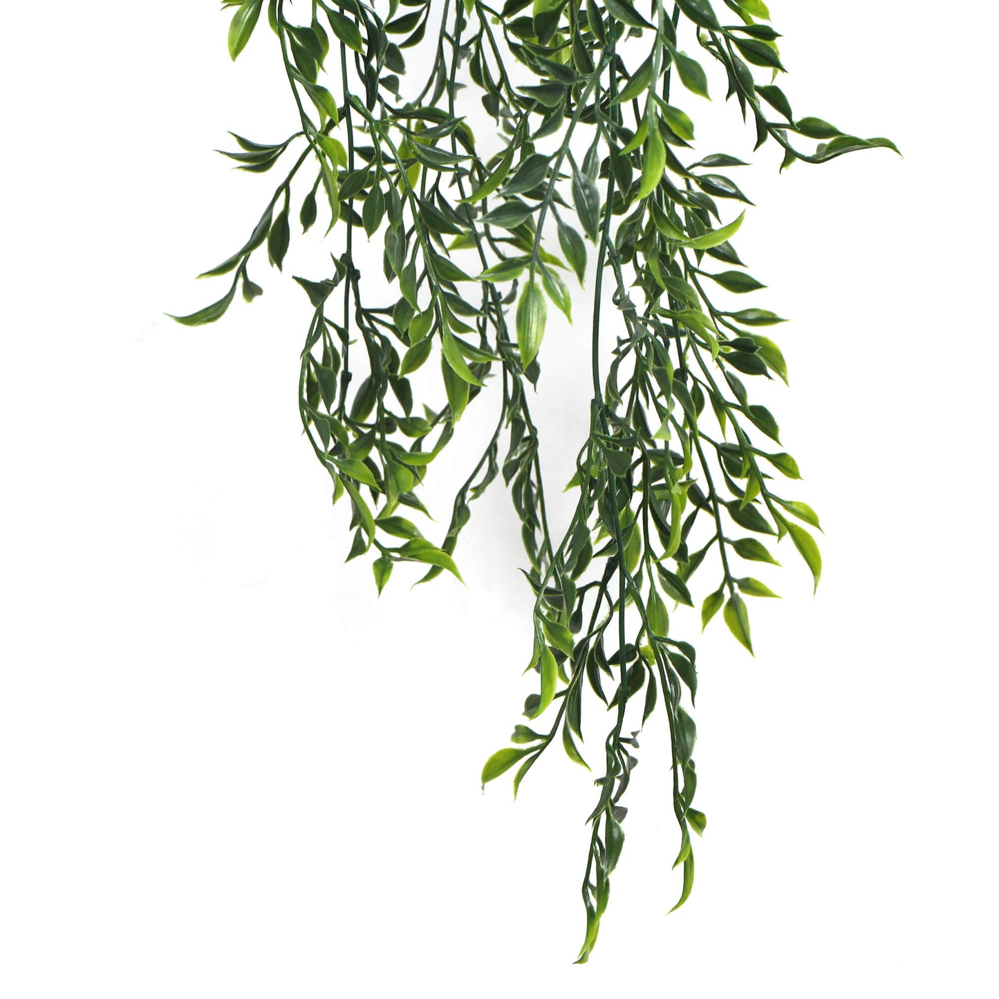 Artificial Hanging Ruscus Plant