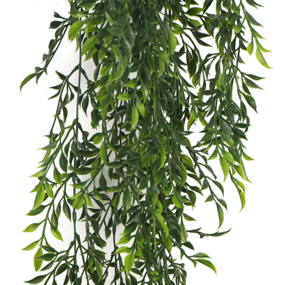 Artificial Hanging Ruscus Plant