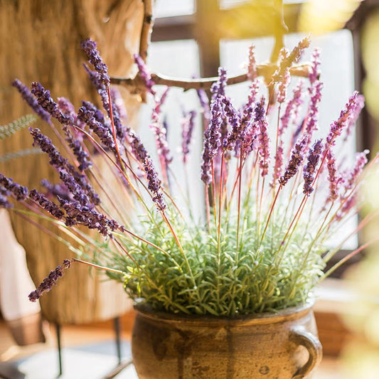 Silk Lavender Flower Stems