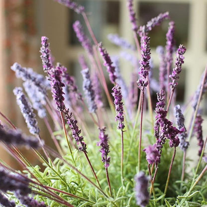 Silk Lavender Flower Stems