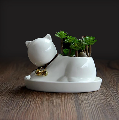 Desk Planter (Cat Theme) - for Succulents and Small Plants, Ceramic, Saucer Included