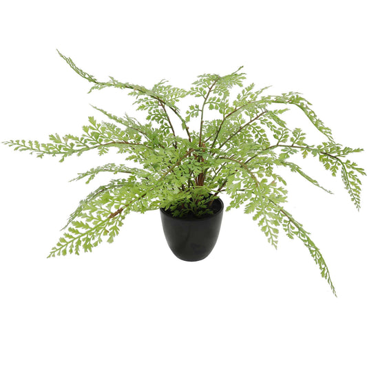 Sprawling Artificial Fern Plant - Pot Included