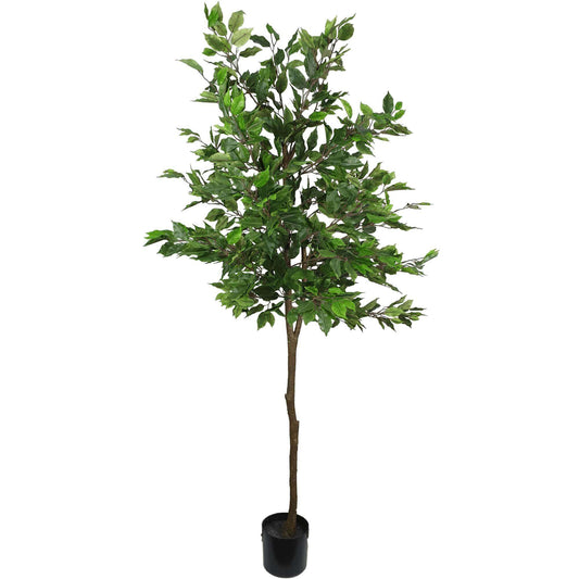 Artificial Ficus Tree - 5.2 ft Tall, Pot Included