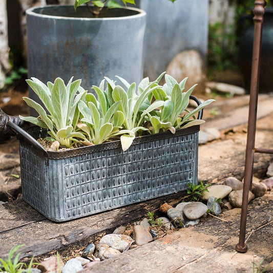 Iron Planter Box (Grey & Black) - Available in 13.4" L or 16.1" L, Indoor / Outdoor Use