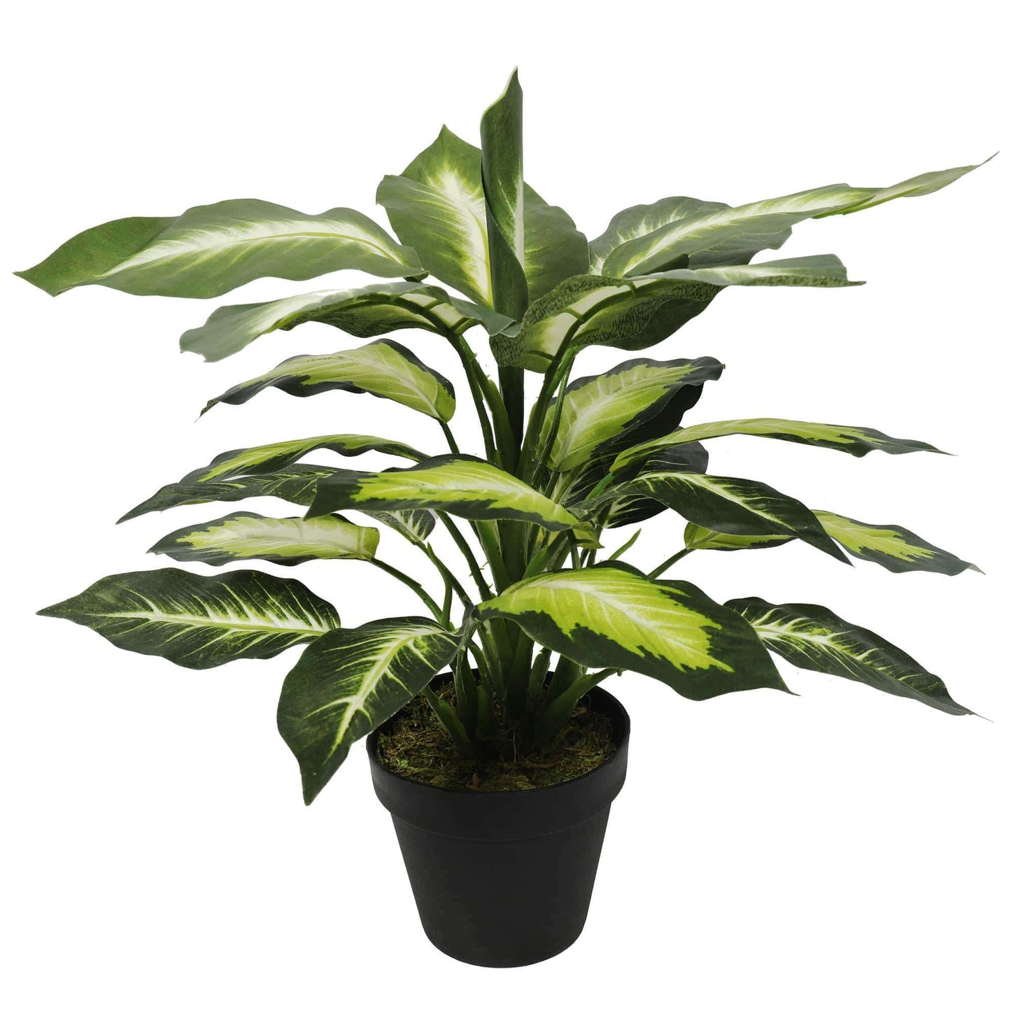 Artificial Leopard Lily Plant