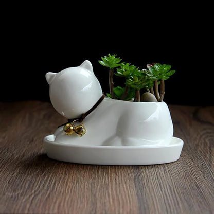 Ceramic Desk Planter (Cat Theme) - for Succulents, Ceramic, Saucer Included