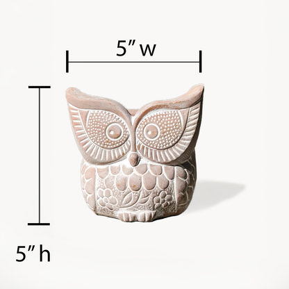 Terracotta Plant Pot (Owl Theme) - 5" W, Handmade, Includes Drainage Hole