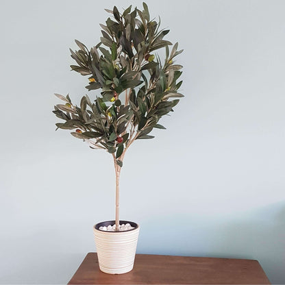 Plant Pot (Cream) - 6.7" W for Medium Sized Plants