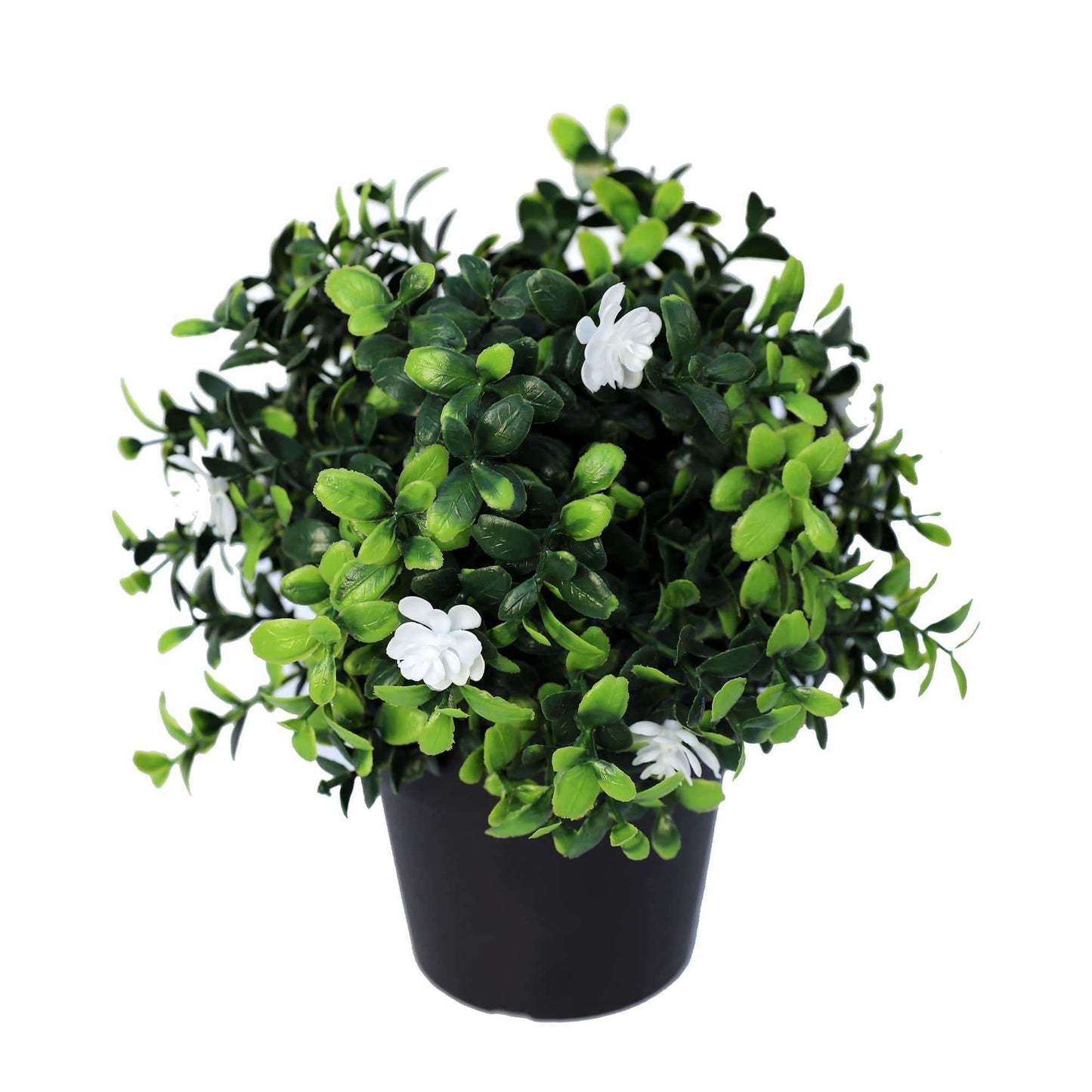 Artificial Boxwood Plant