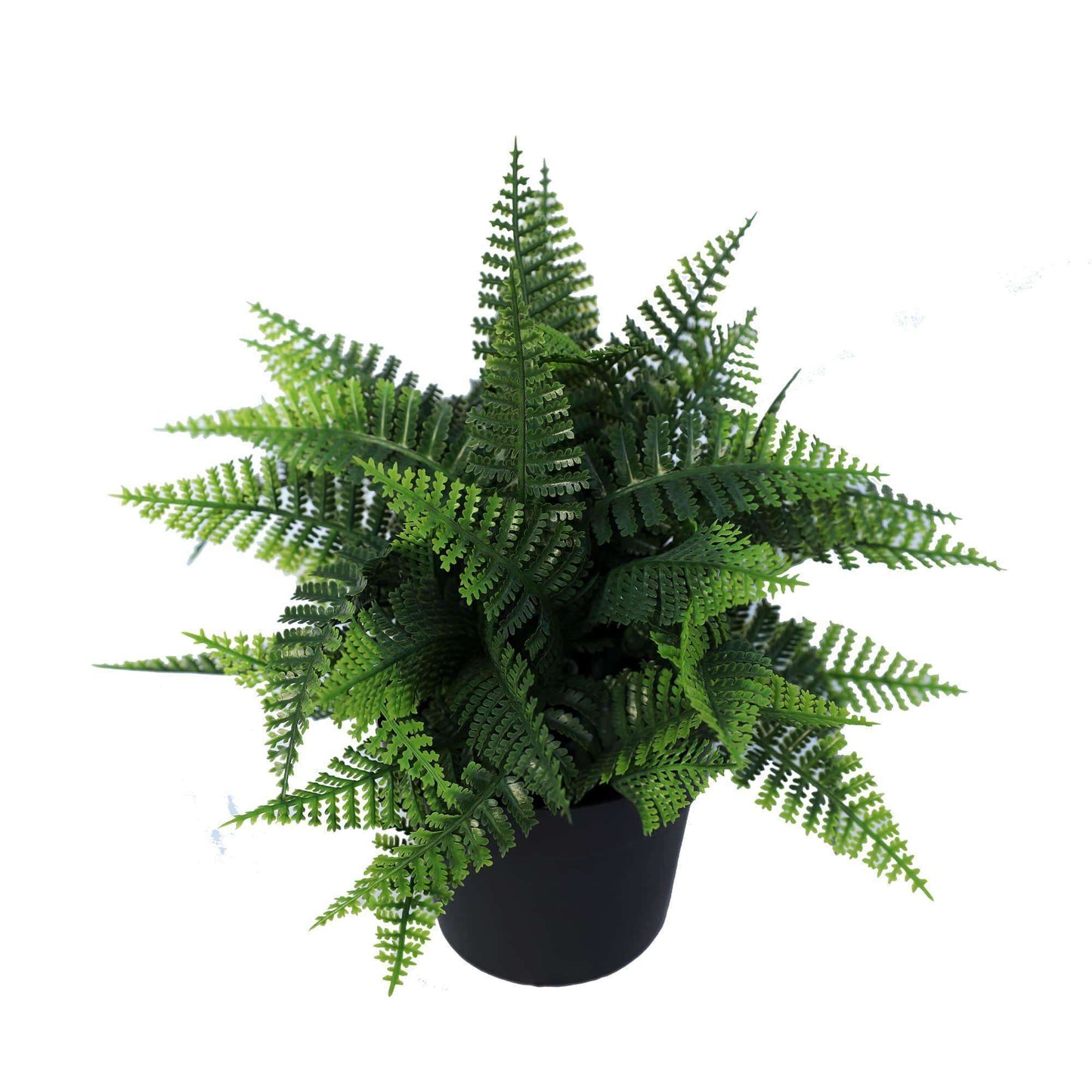 Artificial Box Fern Plant