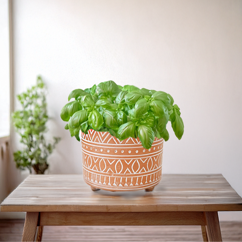Terracotta Plant Pot - 8.5" W, Hand-Etched